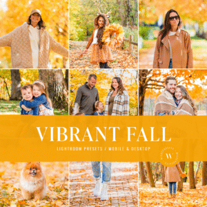 The Vibrant Fall Preset Collection