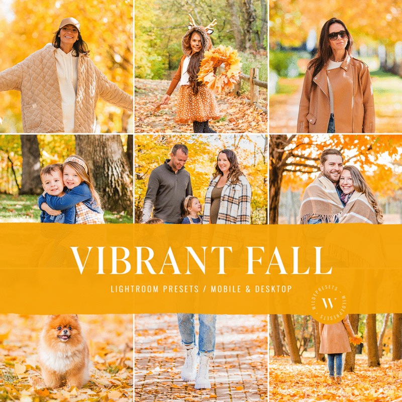 The Vibrant Fall Preset Collection