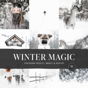 The Winter Magic Preset Collection